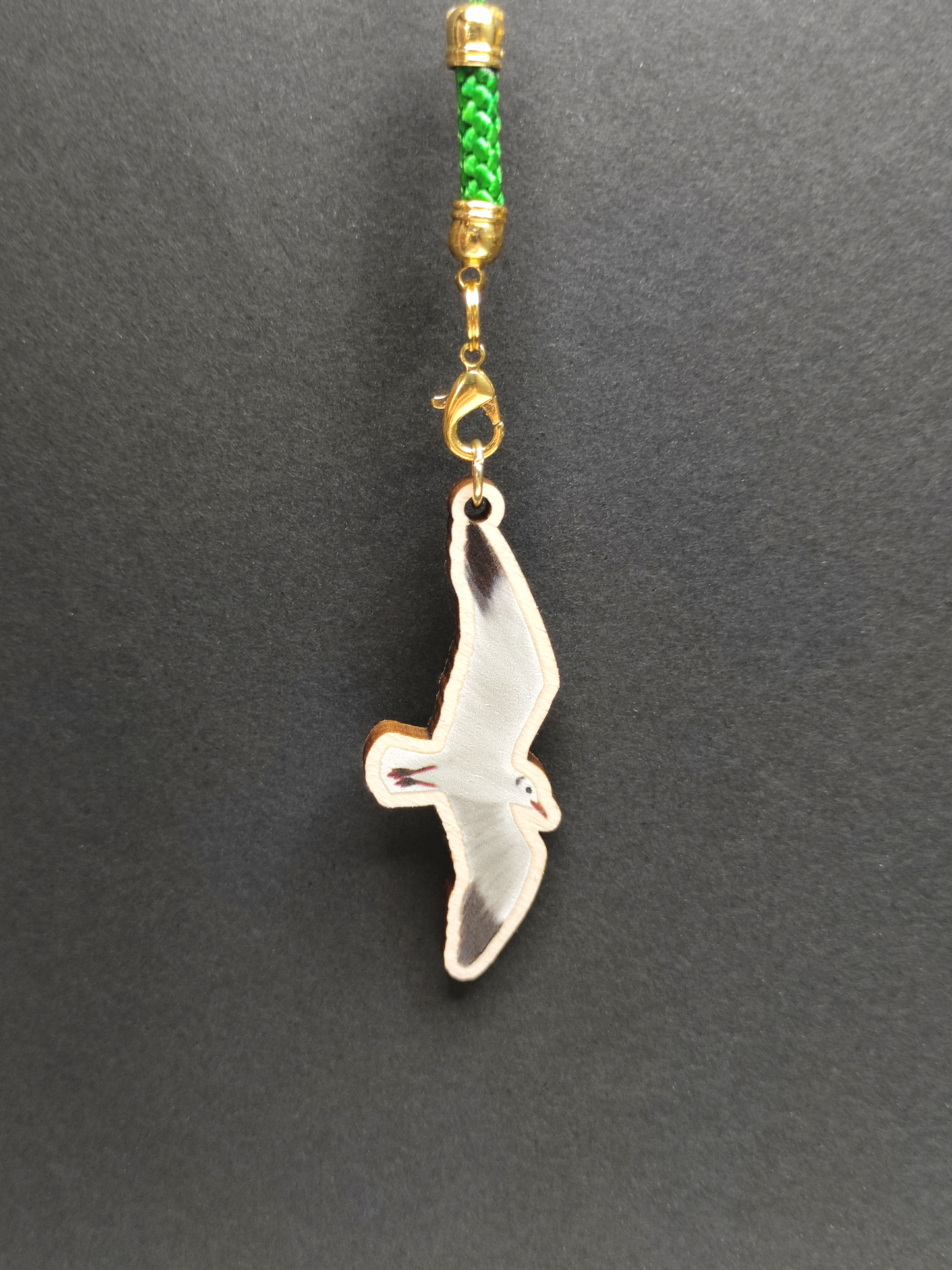Eurasian Birds: Black-headed Gull - Wooden Charm