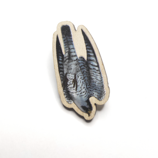 Eurasian Birds: Peregrine Falcon - Wooden Pin