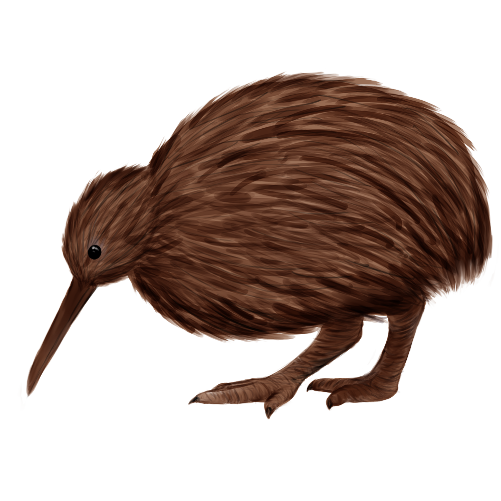 Eurasian Birds: Kiwi - Wooden Charm