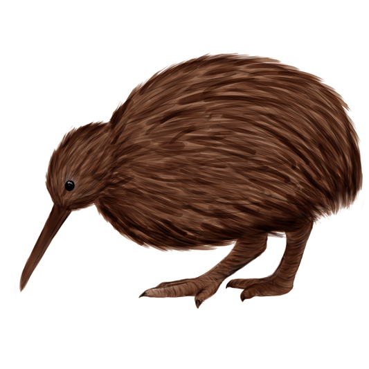 Eurasian Birds: Kiwi - Wooden Charm