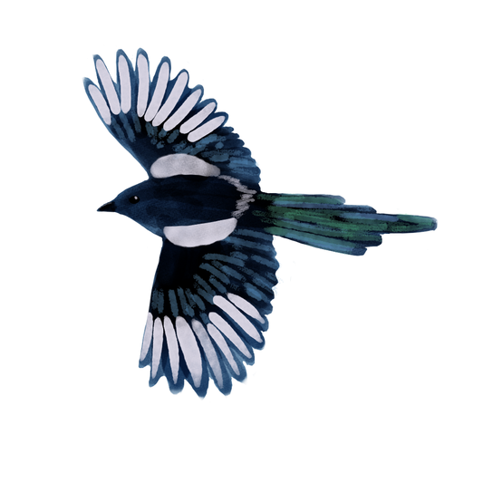 Eurasian Birds: Magpie - Wooden Charm