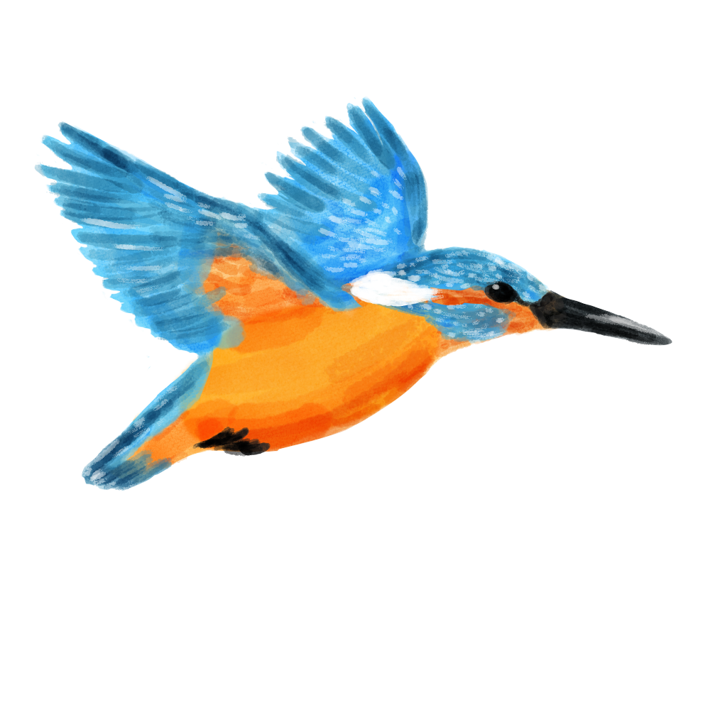 Eurasian Birds: Kingfisher - Wooden Charm