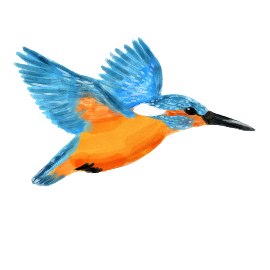 Eurasian Birds: Kingfisher - Wooden Charm