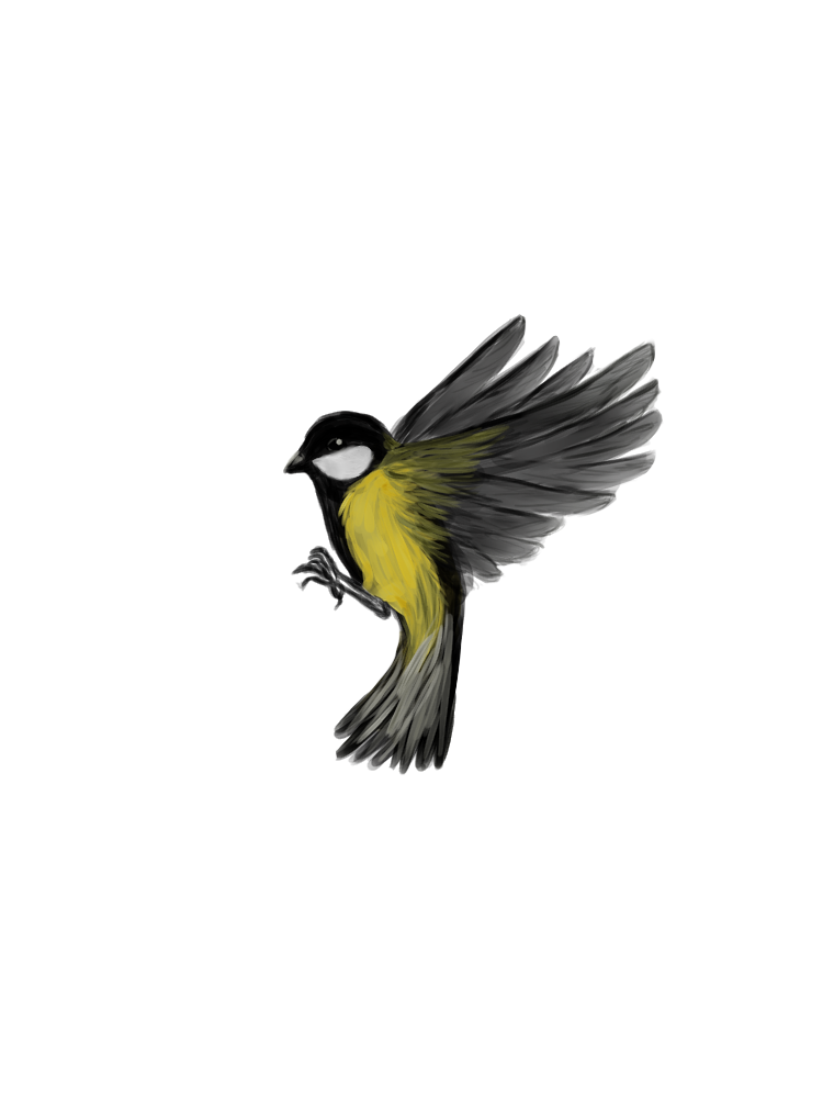 Eurasian Birds: Great Tit - Wooden Charm