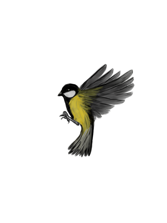 Eurasian Birds: Great Tit - Wooden Charm