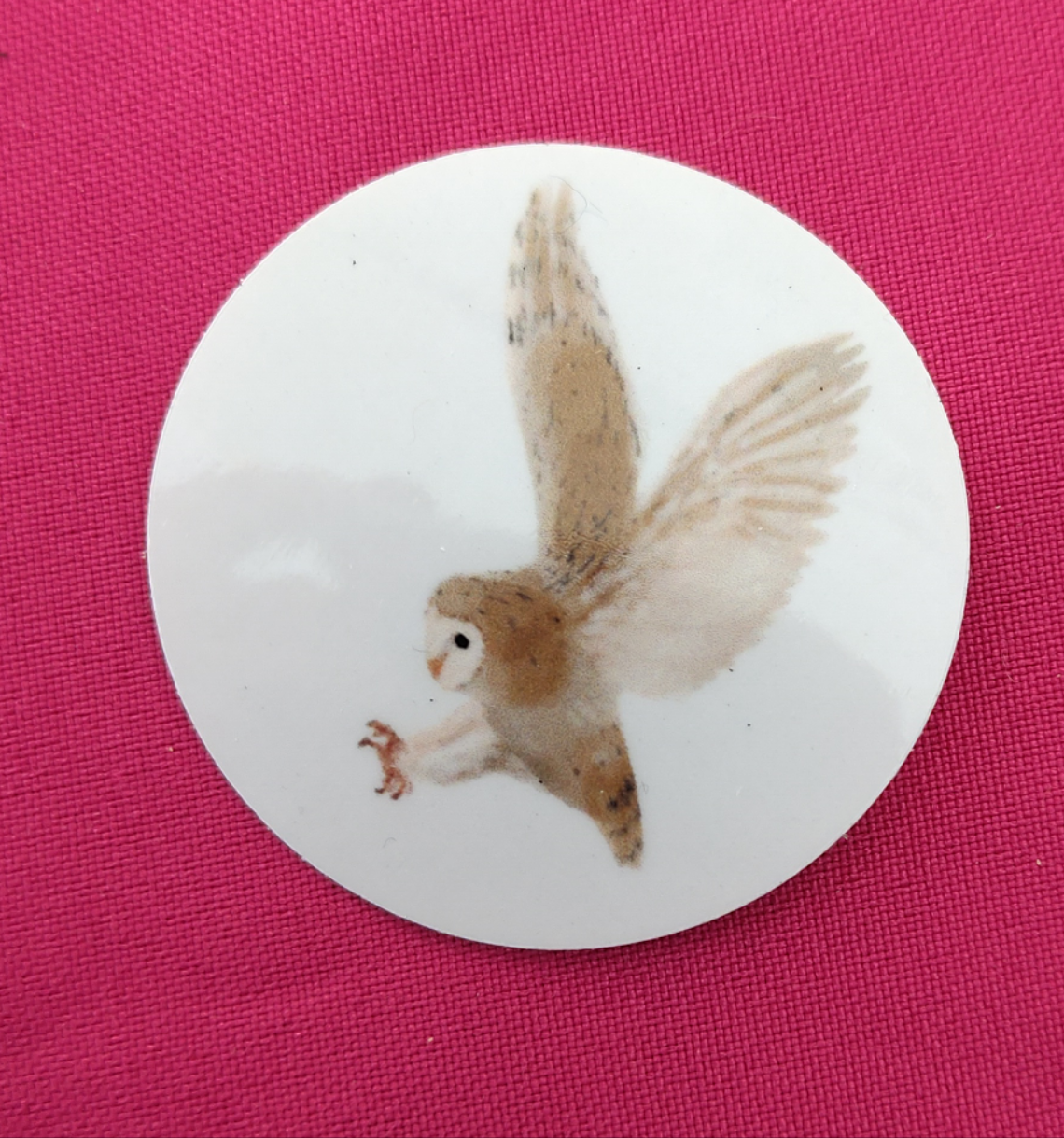 Birds of this World: Barn Owl - Transparent Sticker