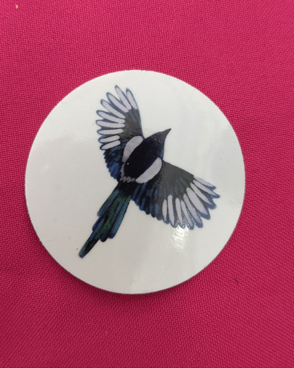 Birds of this World: Magpie - Transparent Sticker