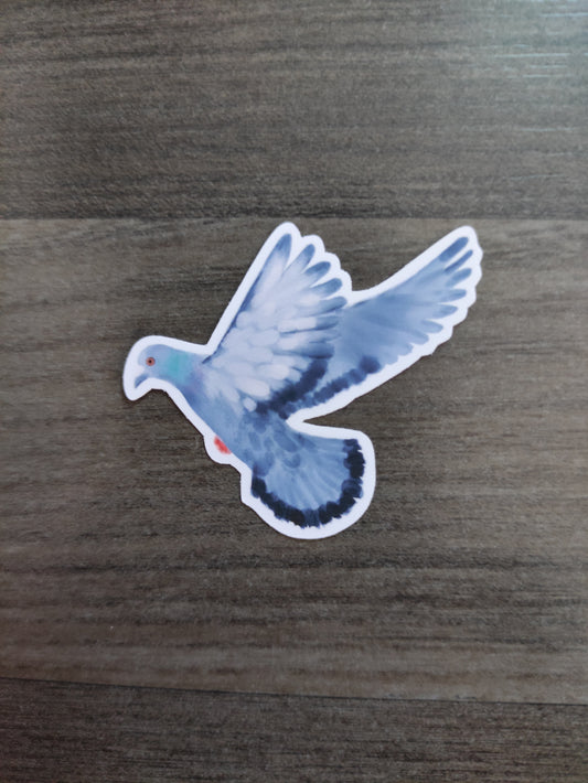 Eurasian Birds: Street pidgeon - stickers