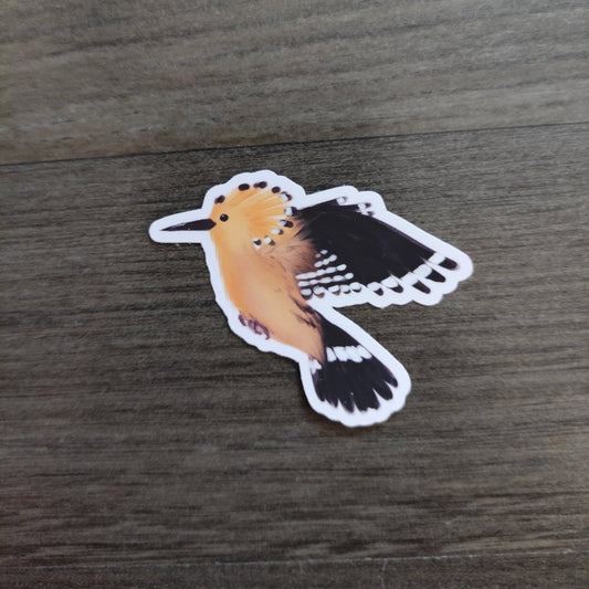 Eurasian Birds: Hoopoe - stickers