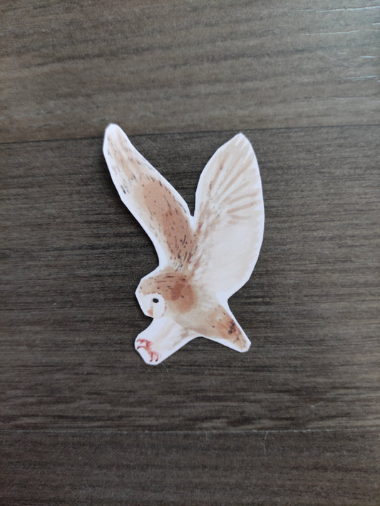 Eurasian Birds: Barn owl - stickers