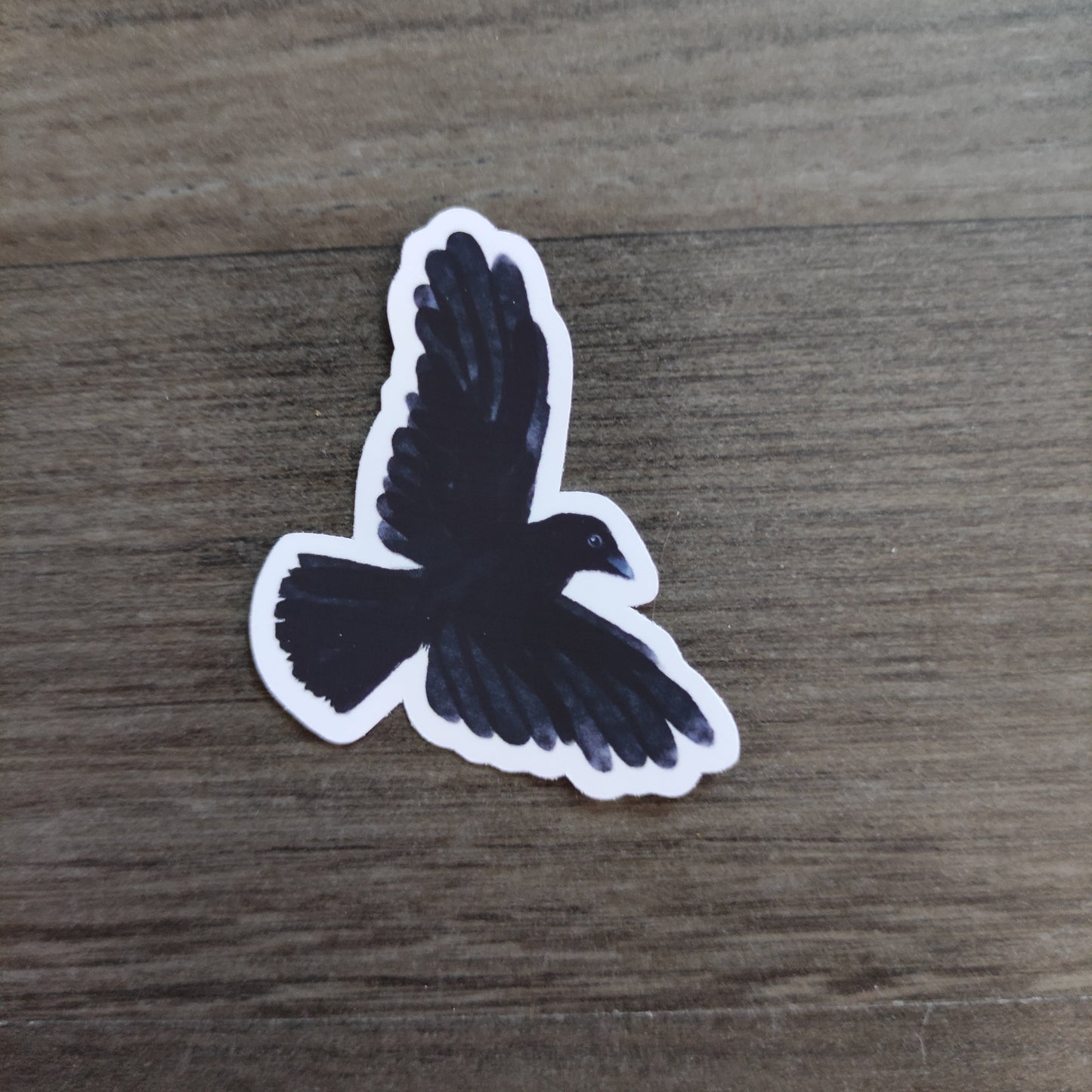 Eurasian Birds: Carrion crow - stickers