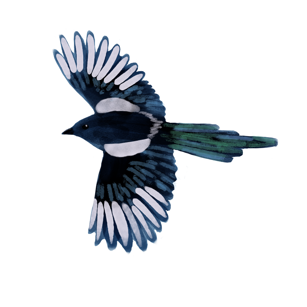 Eurasian Birds: Magpie - Wooden Charm