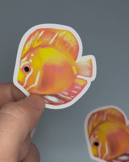 Man, I Love Fish: Orange Diskus - Sticker