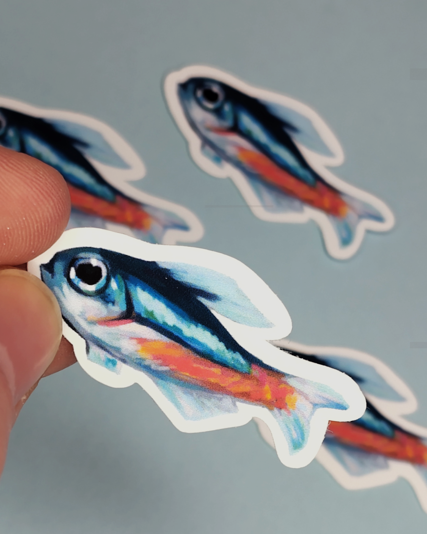 Man, I Love Fish: Neon tetra - Sticker