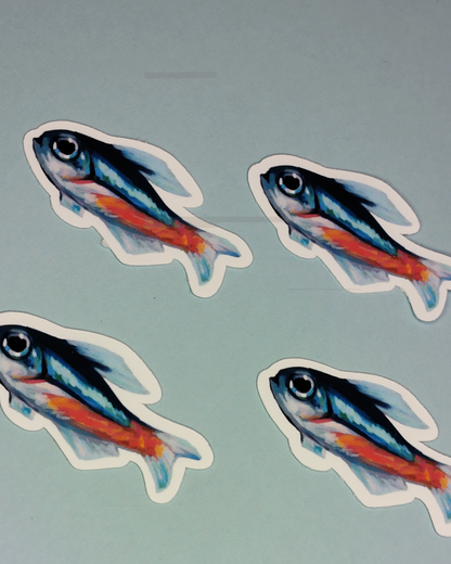 Man, I Love Fish: Neon tetra - Sticker