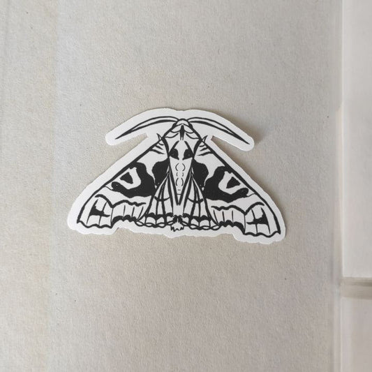 Achateule - Angle shades moth Sticker