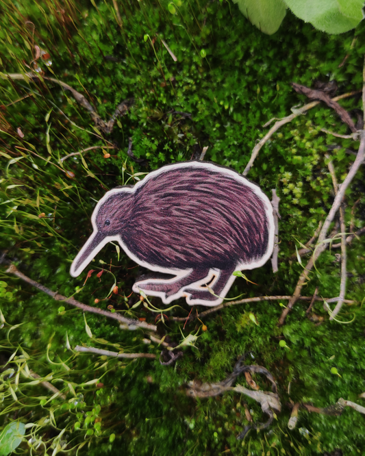 Oceanic Birds: Kiwi - Wooden Pin