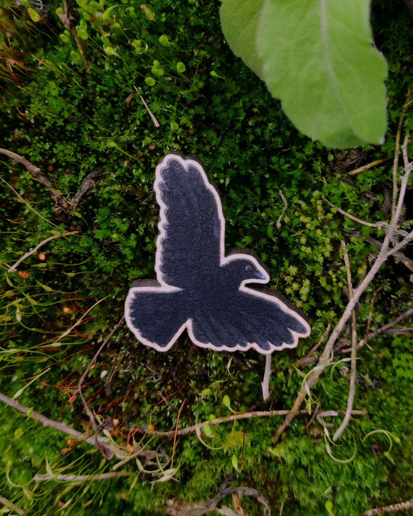 Eurasian Birds: Carrion Crow - Wooden Pin