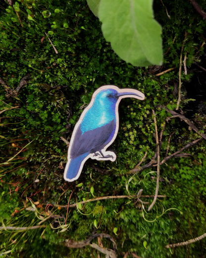 Merch for Palestine: Palestine Sunbird - Wooden Pin