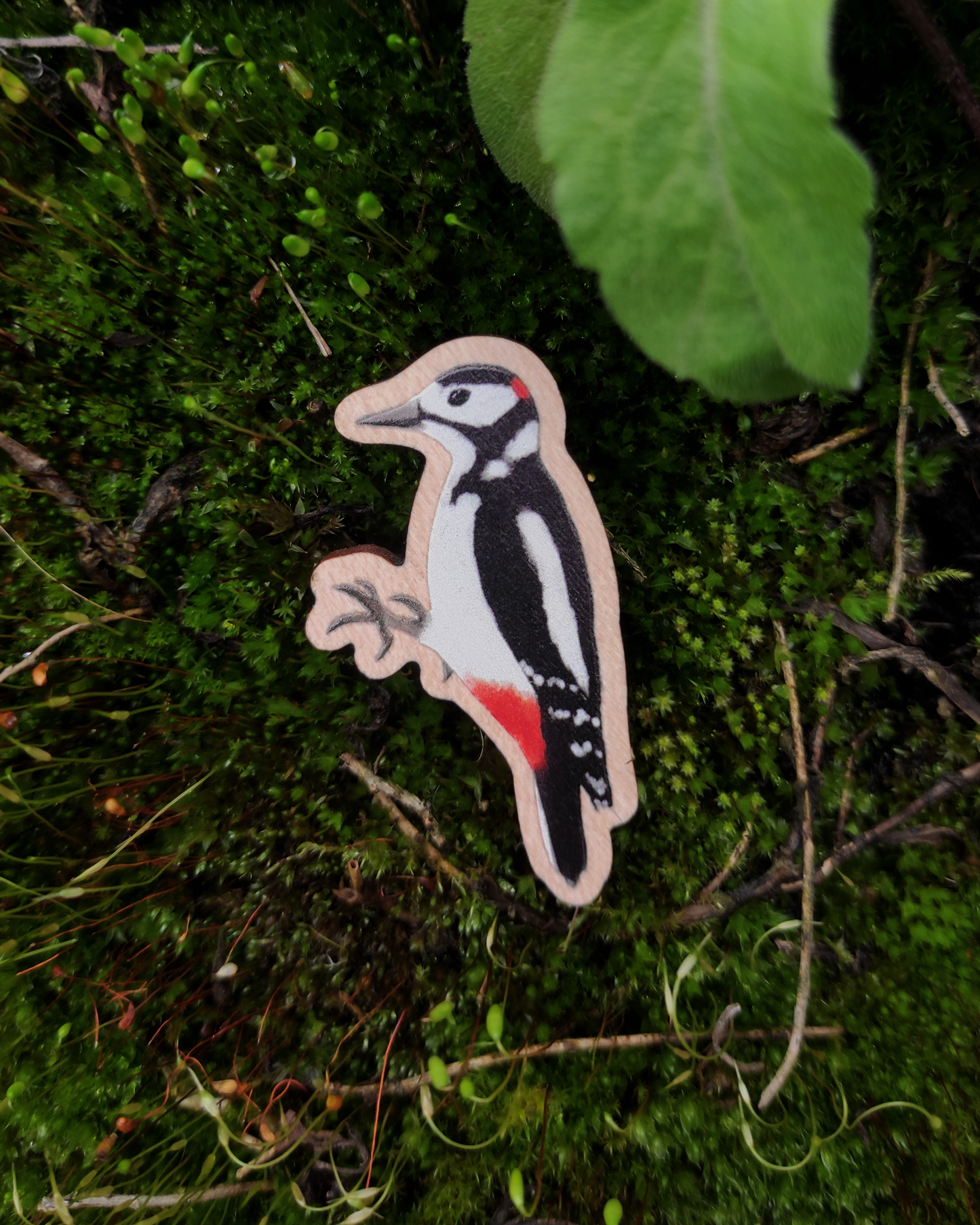 Eurasian Birds: Great Spotted Woodpecker - Wooden Pin