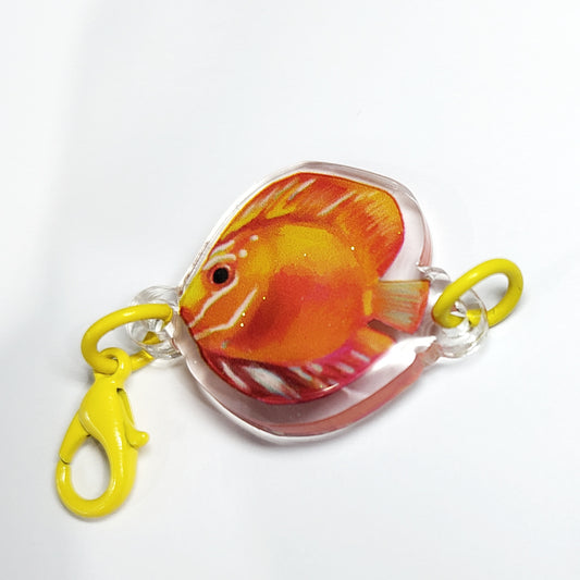 Man, I Love Fish: Orange Discus Fish - chain-link charm