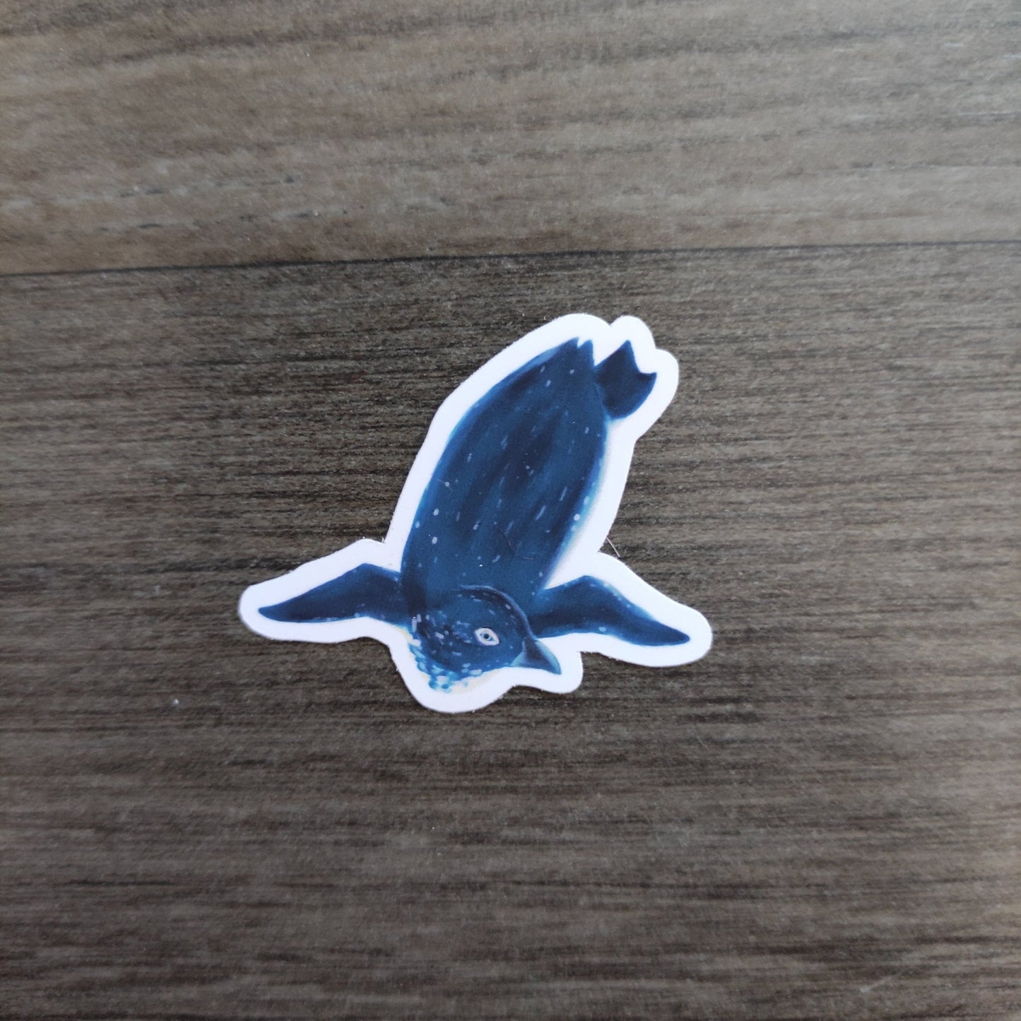 Birds of the world: Korora - stickers - Stickers - Unleash The Merch!