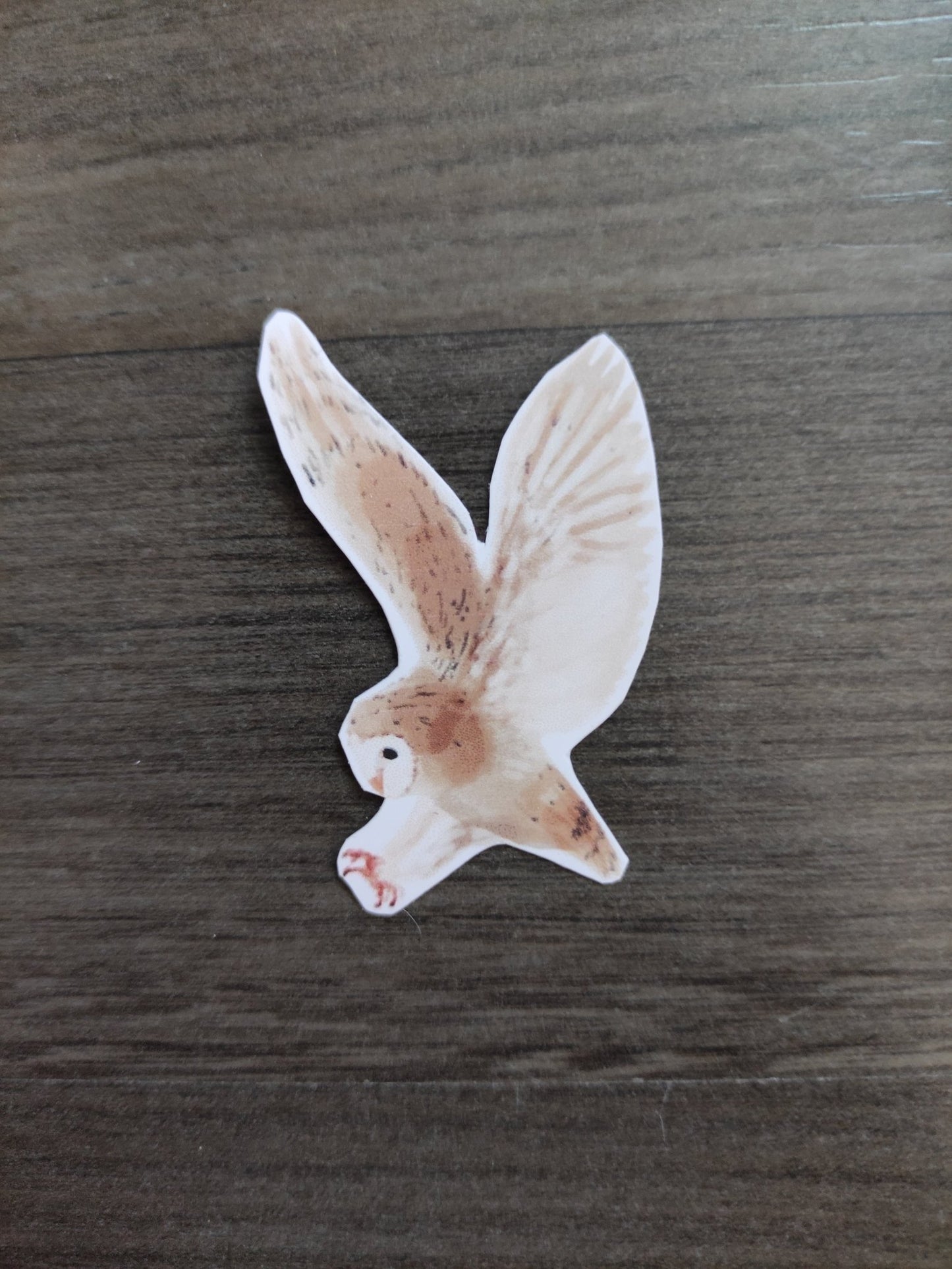 Eurasian Birds: Barn owl - stickers - Stickers - Unleash The Merch!