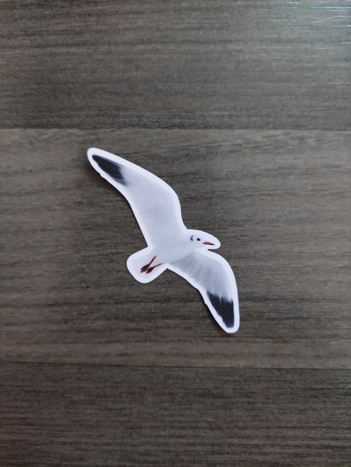 Eurasian Birds: black - headed gull - stickers - Stickers - Unleash The Merch!