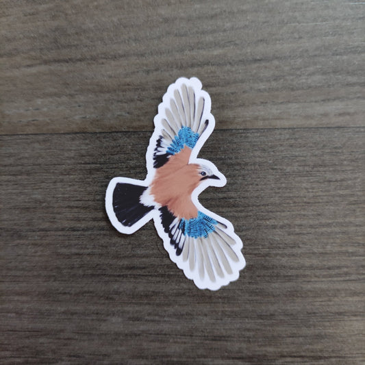 Eurasian Birds: Jay - stickers - Stickers - Unleash The Merch!