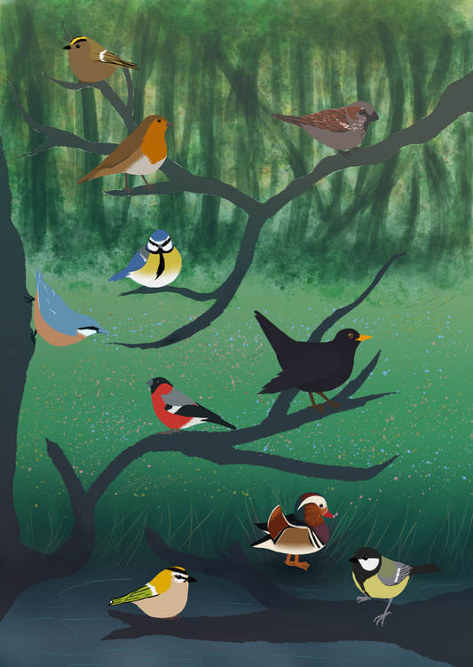 Sticker Sheet Eurasian Birds